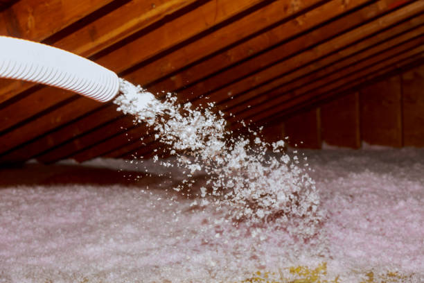 Best Insulation Maintenance and Repair in Riverview, MI