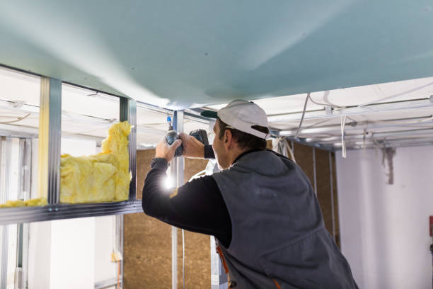 Best Eco-Friendly Insulation in Riverview, MI