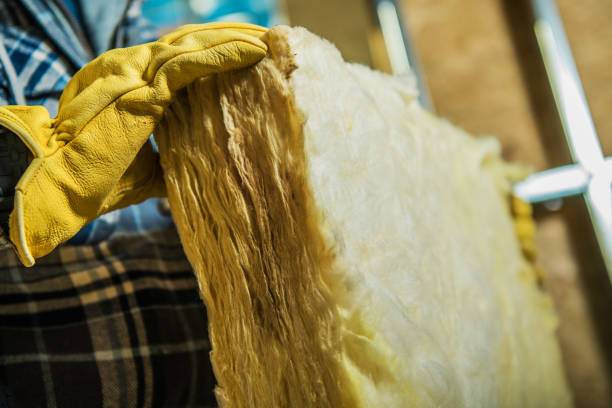 Best Geographic-Specific Insulation Services in Riverview, MI